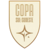 Brazil · Copa Sul-Sudeste logo