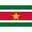Suriname logo